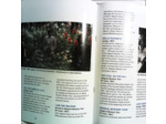 Cd The Beatles - The Beatles - 1967-1970 bleu