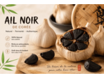 AIL NOIR 5 TÊTES - CORÉE