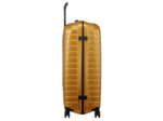 Proxis Spinner 69/25 Honey Gold
