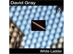 Cd White Ladder