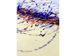 T230127 - Acrylique sur toile - 116x89 cm