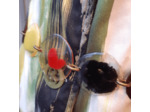 Ceinture résine 24-261