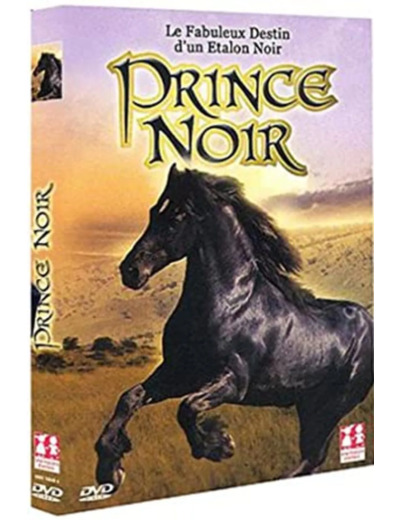 Dvd Prince Noir, le film