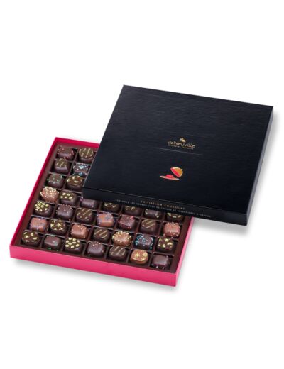 Coffret Initiation 49 chocolats noirs et lait 490g net - Collection Initiation Chocolat