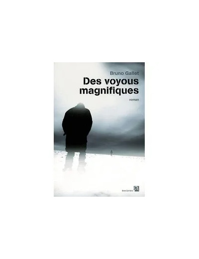Livre Des voyous magnifiques
