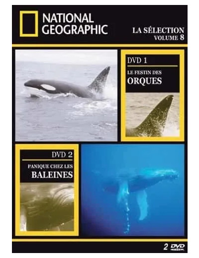 Dvd National Geographic la Sélection Volume 8 le Festin des Orques Panique Chez les Baleines