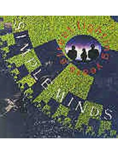 Cd Simple Minds - Street Fighting Years (1989)