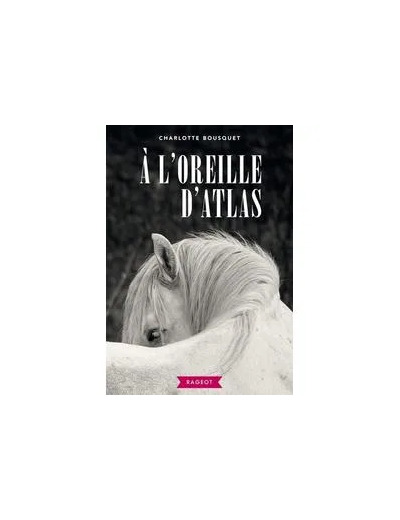 Livre A L'oreille D'atlas