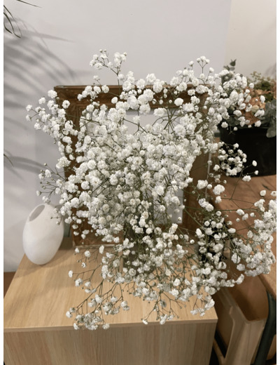 Botte de Gypsophile blanc