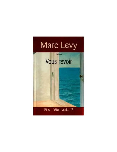 Livre Vous revoir - roman