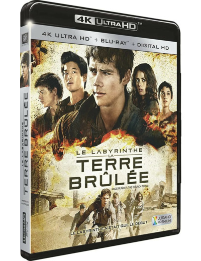 Blu-Ray Le Labyrinthe : La Terre Brûlée