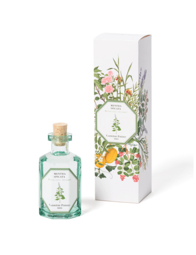 Diffuseur de Parfum Menthe Verte