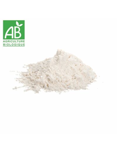 Farine de riz blanche - 100g