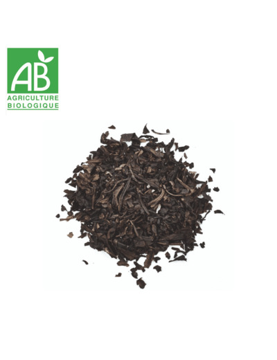 Thé Noir Fumé Lapsang Souchong