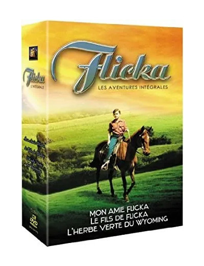 Dvd Coffret Flicka