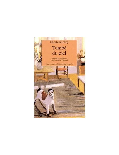 Livre Tombe du ciel
