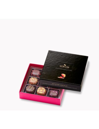 Coffret Initiation 9 chocolats noirs et lait 90g net - Collection Initiation Chocolat