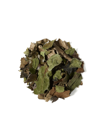 Thés Natures Blancs Thé Blanc Pai Mu Tan bio - Vrac 250gr