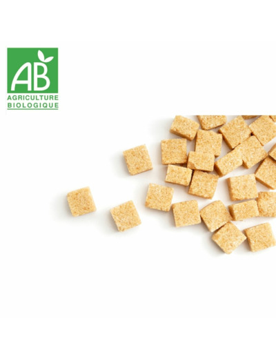 Sucre de canne blond en morceaux - 100g