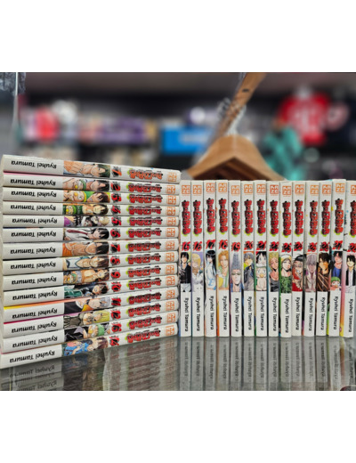 [COLLECTION MANGA OCCASION] beelzebub tome 1 à 28