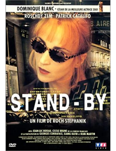 Dvd Stand By