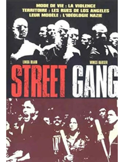 Dvd Street Gang