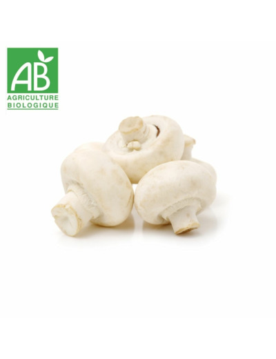 Champignons blancs - 500g