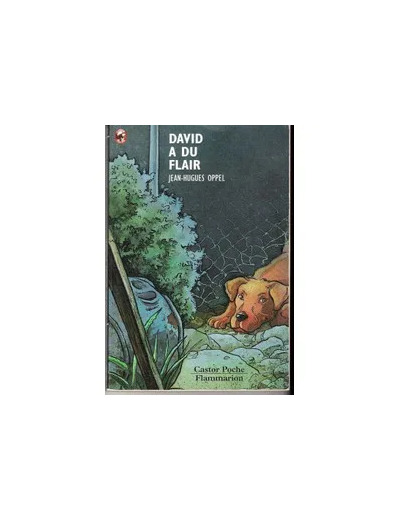 Livre David A Du Flair