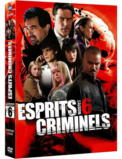 Dvd Esprits criminels, saison 6 - coffret 6 DVD