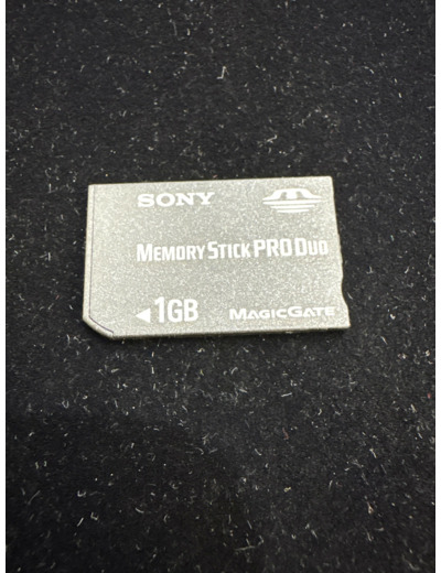 Sony Memory Stick Pro Duo 1 Go