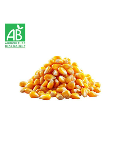 Maïs pop corn - 100g