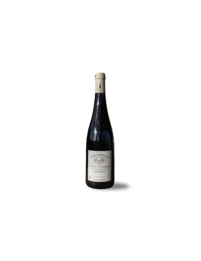 Domaine du Bourgneuf Saumur Champigny Vieilles Vignes AOP 2020