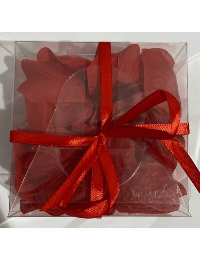 Confettis pétale tissu ( boîte de 100 ) - rouge