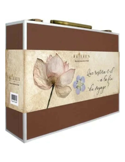 Blu-Ray Frieren : Beyond Journey's End - Saison 1 - Partie 1 - Édition Collector Limitée - Blu - ray