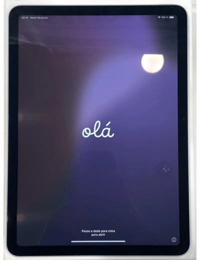 Tablette Apple iPad Air M2 (2024) Wi - Fi 128 Go 11 pouces Bleu