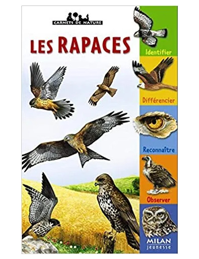 Livre Les Rapaces