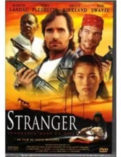 Dvd Stranger - Vengeance dans la ville