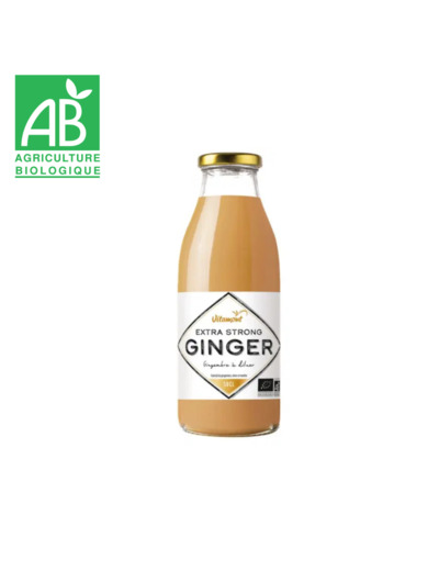 Gingembre à diluer x 1