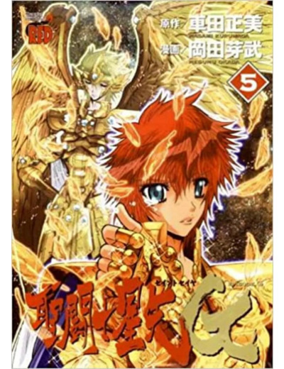 Livre Saint Seiya Episode G, Tome 5