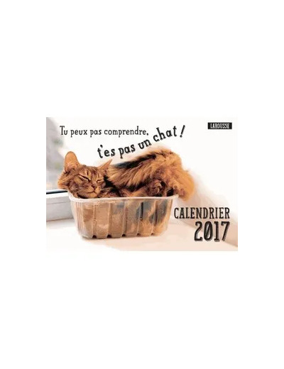 Livre CALENDRIER 2017 TU PEUX PAS COMPRENDRE T'ES PAS UN CHAT