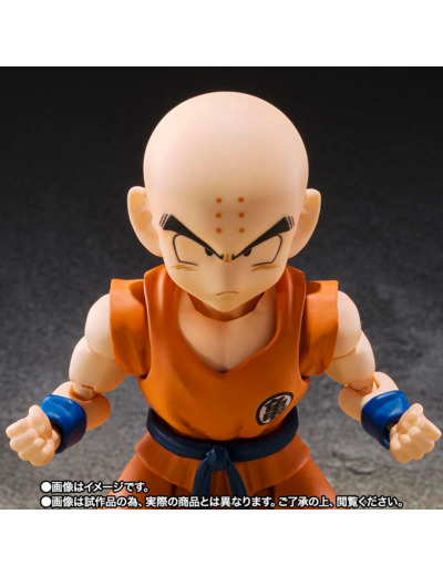 [FIGURINE] Dragon Ball z - SH figuarts -Krillin Son Goku Old Friend