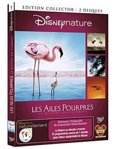 Dvd Les Ailes pourpres : le mystère des flamants - Édition Collector