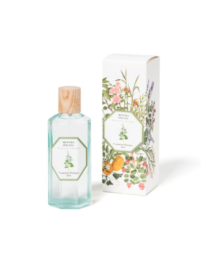 Vaporisateur Parfumé Menthe Verte