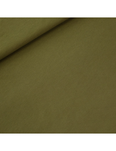 See You at Six - Tissu French Terry Coton 3 fils Uni Couleur Vert Mousse de Tourbe