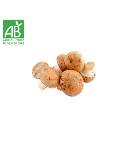 Champignons bruns - 500g