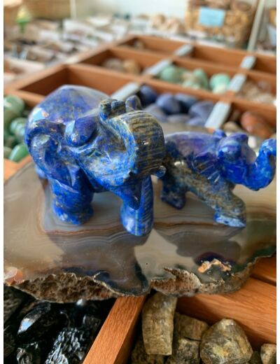Grand éléphant en lapis lazuli