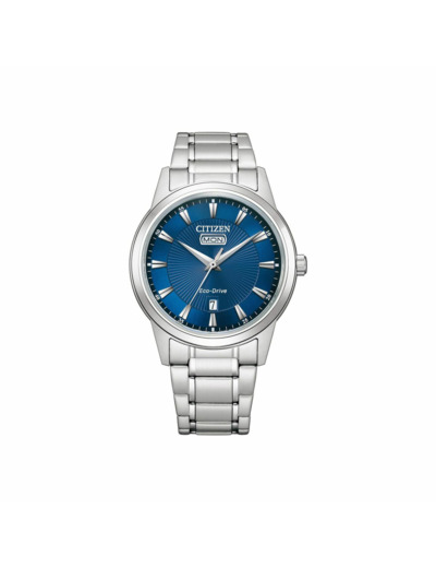 Montre Citizen Eco-Drive Classic Elegant Day and Date AW0100-86L