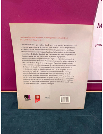 Livre Jérôme Bosch, Visions De Génie