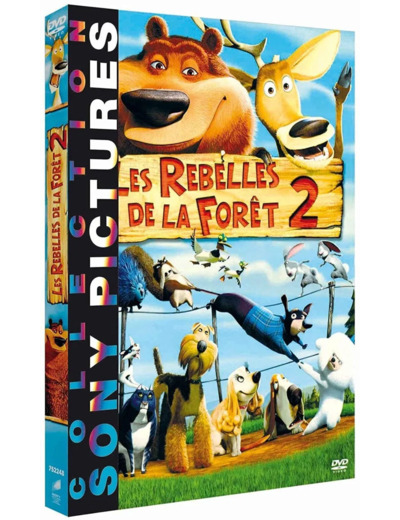 Dvd Les Rebelles de la forêt 2