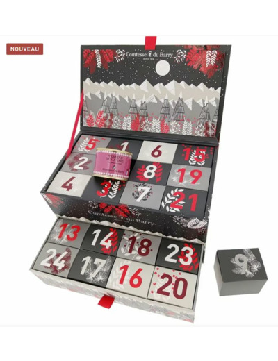 CALENDRIER DE L'AVENT SALE